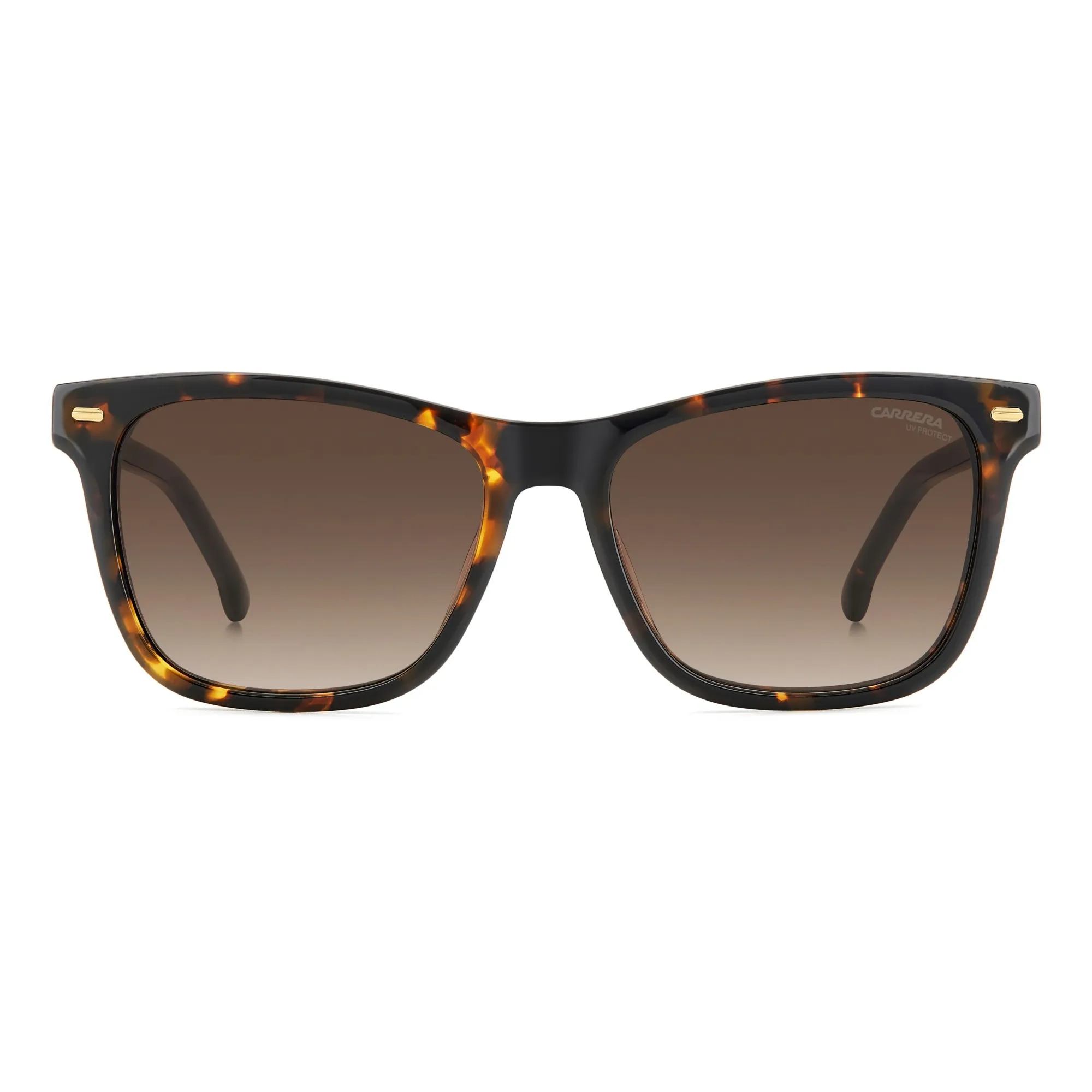   Carrera 3001/S - 086 HA L'Avana | Occhiale Da Sole Donna 