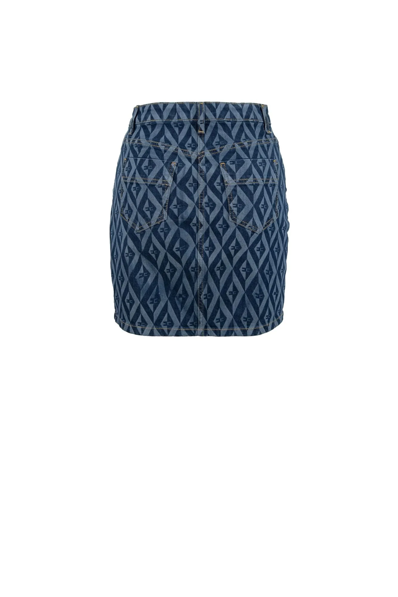 ELISABETTA FRANCHI GJ23D36E2 184 Skirt