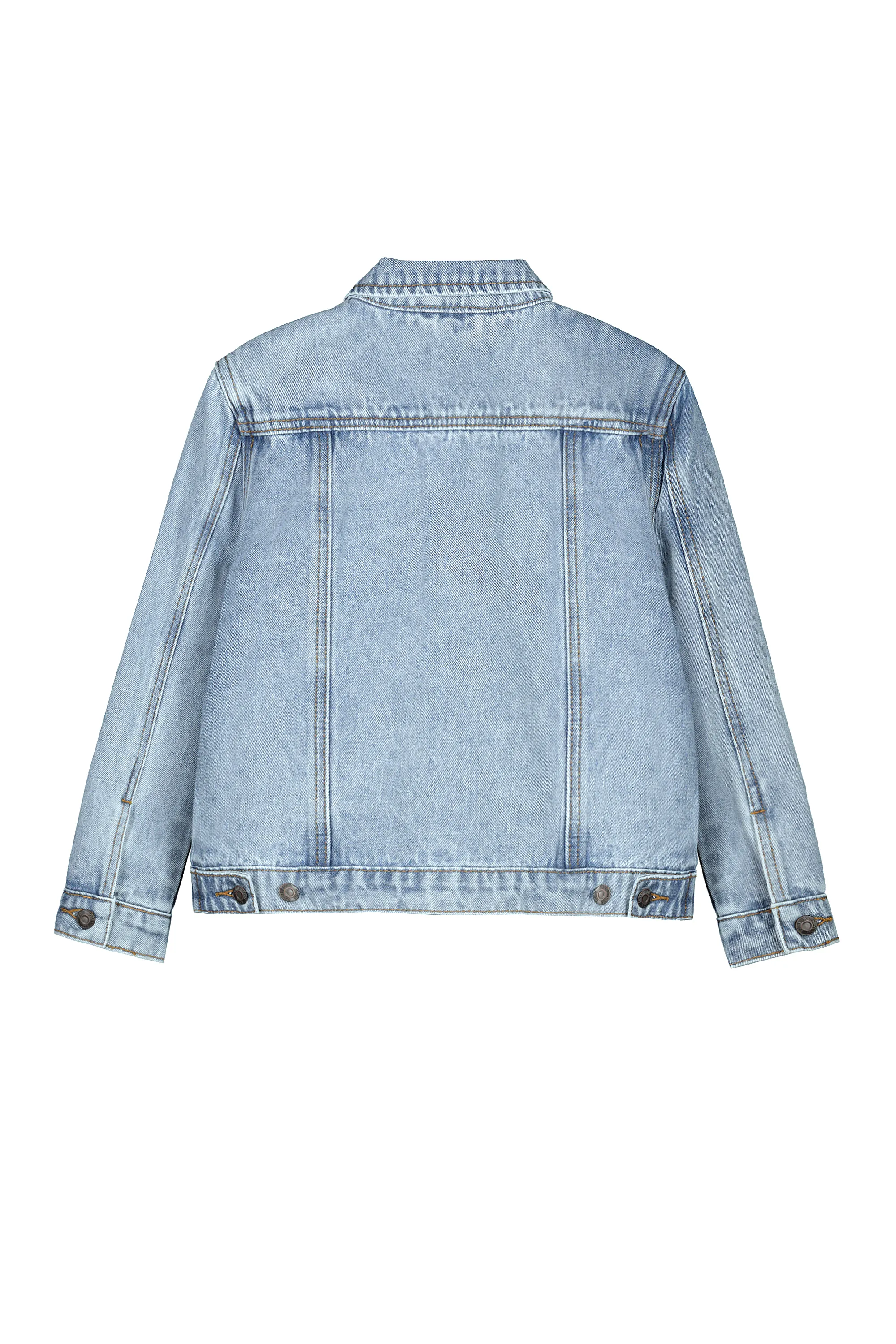         GIUBBOTTO JEANS     Colore:        Blu     