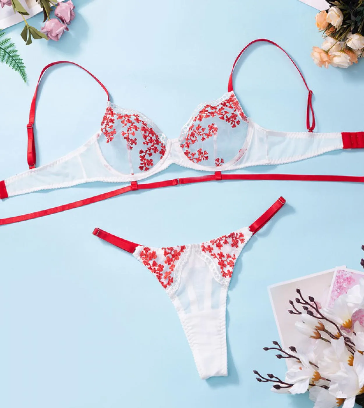 Set di biancheria intima da donna Set da 2 pezzi da donna Set di reggiseno trasparente Set di reggiseno e slip per lingerie fant